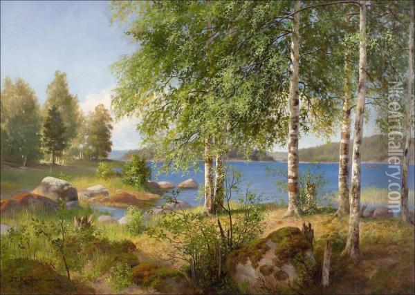 Rantakoivuja. Oil Painting - Johan Kortman