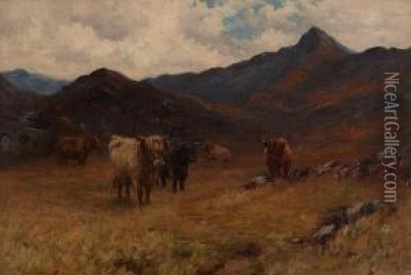 Highland Cattle Oil Painting - William Grant Stevenson