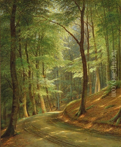 Forest Road Oil Painting - Andreas Fritz