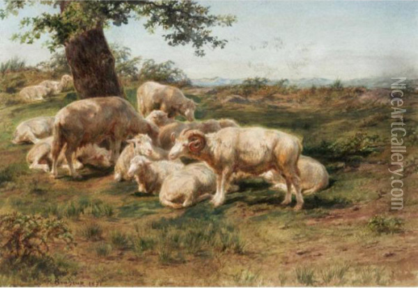 Sheep In The Pasture Oil Painting - Rosa Bonheur