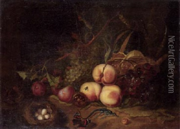 Stilleben Mit Fruchten, Eidechse Und Vogelnest Oil Painting - Abraham Mignon