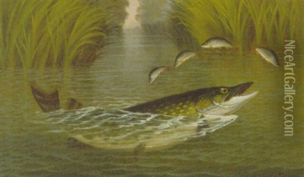 A Pike And Perch Oil Painting - A. Roland Knight