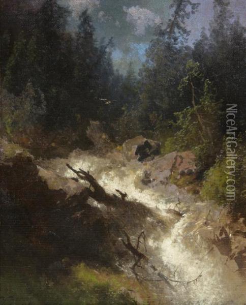 Rushing Brook Oil Painting - Herman Herzog