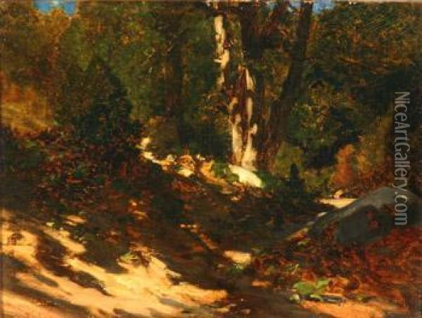 Sun Dappled Wooded Landscape Oil Painting - Marcelin De Groiseilliez