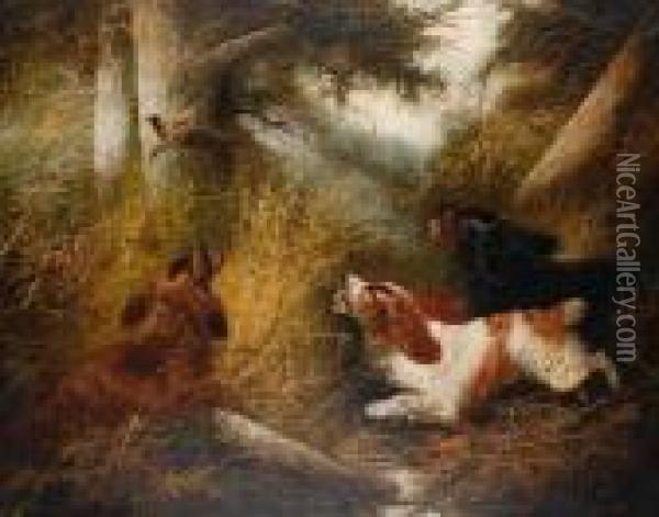 Spaniels Putting A Pheasant Up Oil Painting - George Armfield