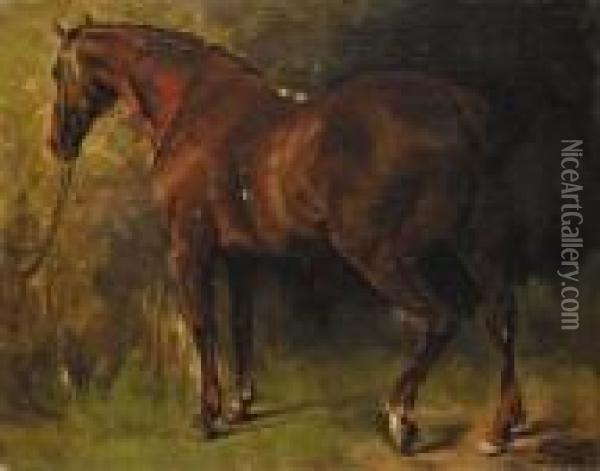 Le Cheval Anglais De M. Duval Oil Painting - Gustave Courbet