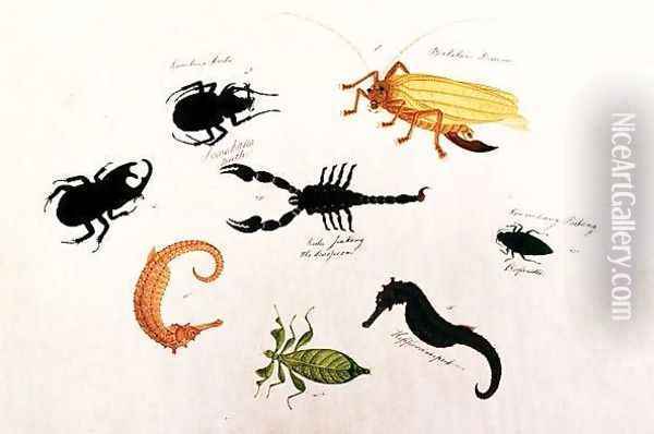 Koombang Kerbo, Bielalan Dawon, Kala Jinking, Koombang Padang, Hippocampus, from 'Drawings of Animals, Insects and Reptiles from Malacca', c.1805-18 Oil Painting - Anonymous Artist