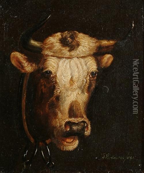 Study Of A Cow's Head Oil Painting - Albertus Verhoesen