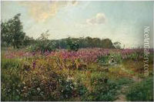 Flowers Of The Heath Oil Painting - Rex Vicat Cole