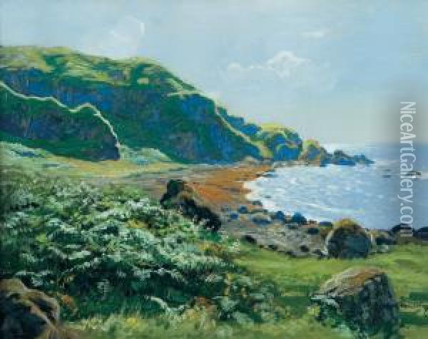 Bennane Bay (near Ballantrae). Oil Painting - Robert Houston