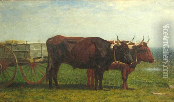 Oxen Oil Painting - James Dougal Mac Hart