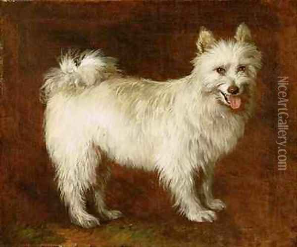 Spitz Dog Oil Painting - Thomas Gainsborough