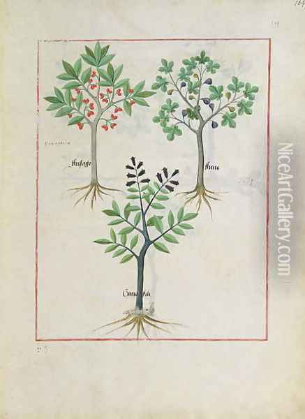 Illustration from the Book of Simple Medicines by Mattheaus Platearius d.c.1161 c.1470 6 Oil Painting - Robinet Testard