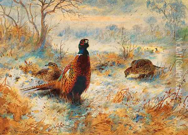 Frost at Sunrise Pheasant amongst bracken Oil Painting - Archibald Thorburn