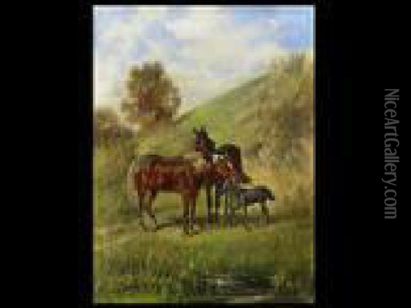 Pferdepaar Mit Fohlen An Einem Grashang, Im Vordergrund Einbachlauf Oil Painting - Franz Quaglio