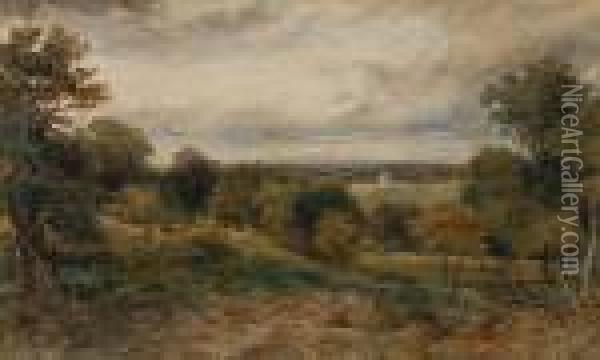 A View Of Richmond Park Oil Painting - David Cox
