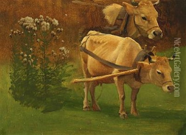 A Study Of Cows In A Field Oil Painting - Simon Simonsen