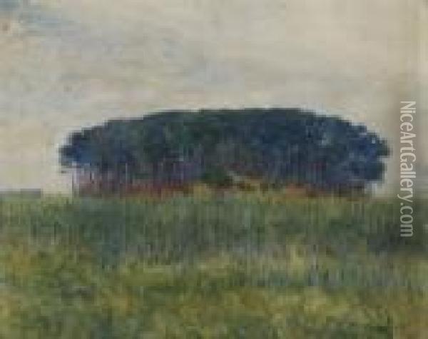 La Foresta Di Tombolo Oil Painting - Plinio Nomellini