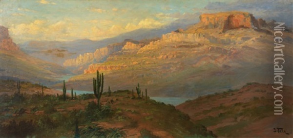 Canyon In Arizona Oil Painting - John Fery
