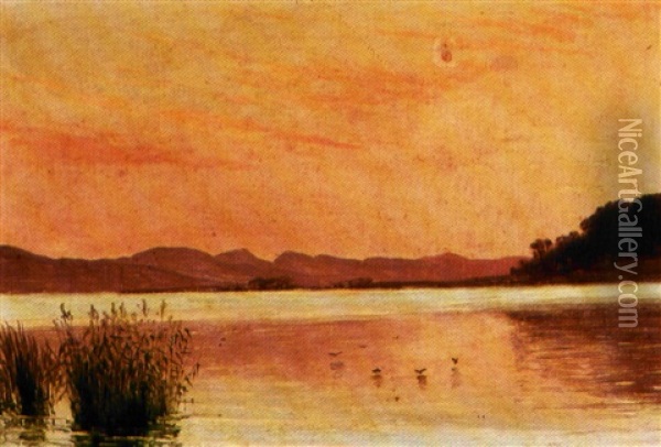 Solnedgang Over En So Oil Painting - Vilhelm Peter Karl Kyhn