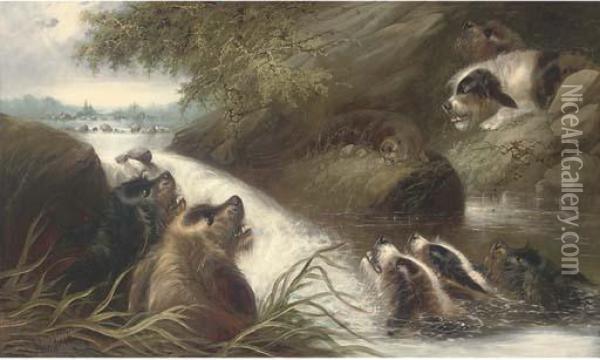 The Cornered Otter Oil Painting - George Armfield