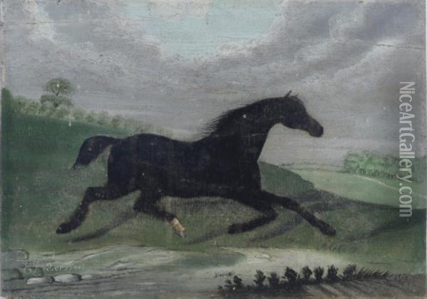 A Black Horse Trotting Through The Landscape Oil Painting - Edwin Loder