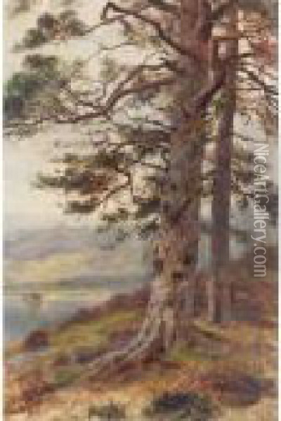 The Great Scots Pine Oil Painting - Louis Bosworth Hurt