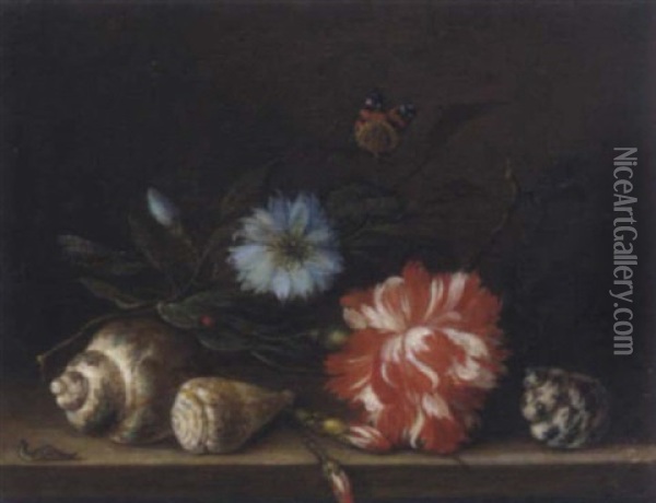 Stilleben Mit Muscheln Und Blumen Oil Painting - Balthasar Van Der Ast