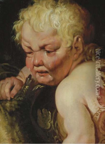 Head Of A Young Faun Oil Painting - Jacob Jordaens