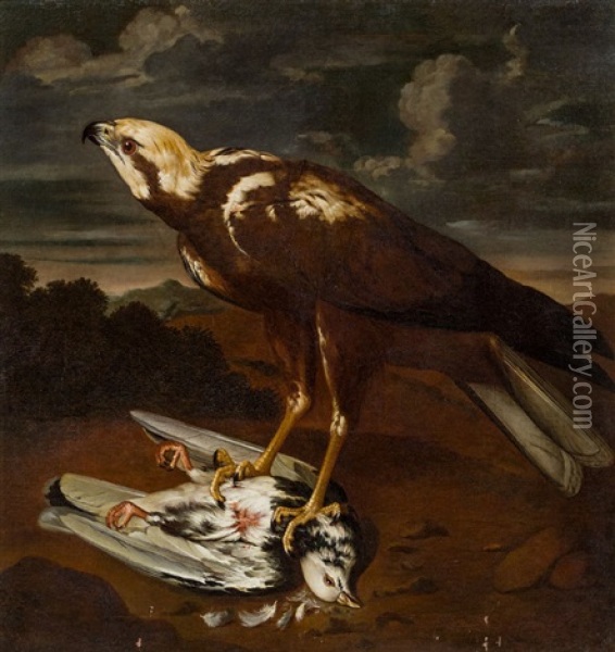 Falke Oil Painting - Philipp Ferdinand de Hamilton