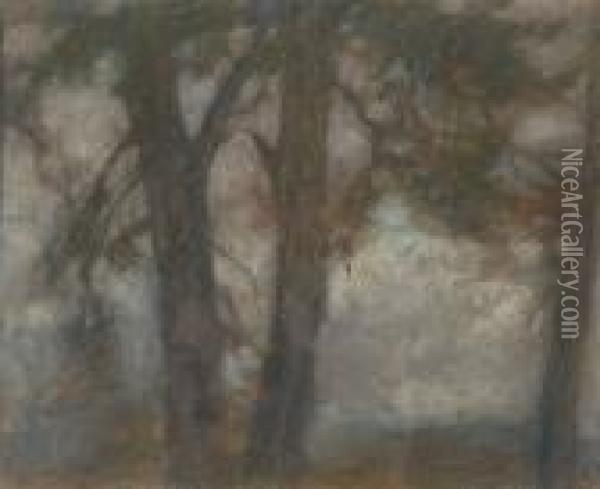 Autumn Trees. Oil Painting - Marc-Aurele Foy De Suzor-Cote