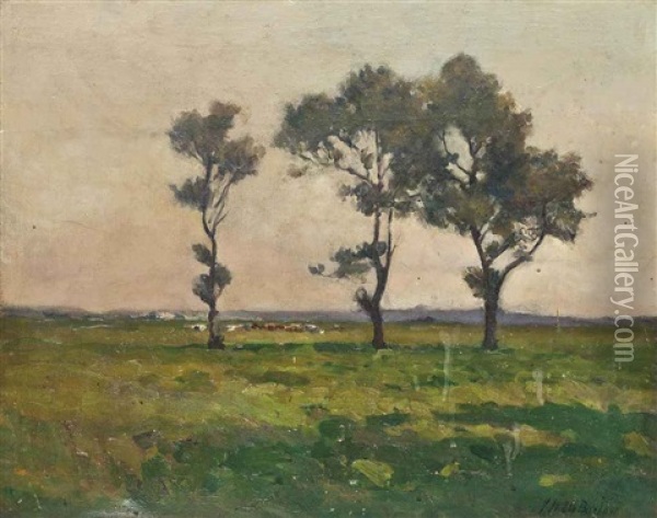 Landscape With Trees, Cattle Grazing Beyond Oil Painting - John Noble Barlow