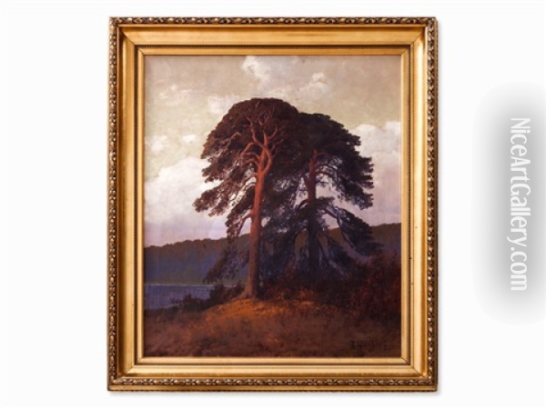Trees In The Sunset Oil Painting - Rudolf Hellgrewe