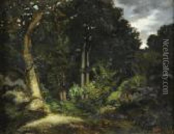 Foret De Fontainebleau, La Reine Blanche Oil Painting - Antoine-louis Barye