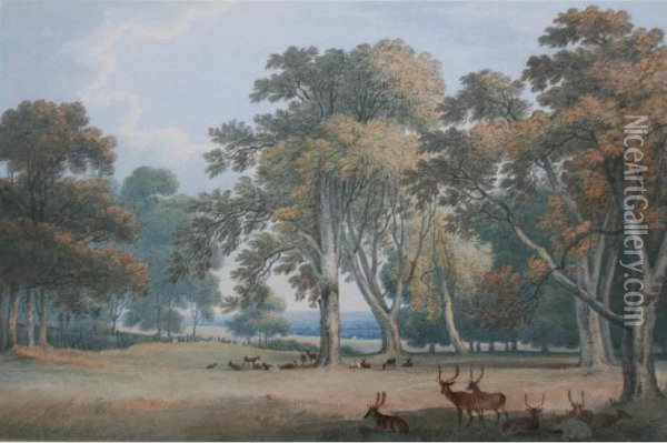 Deer In Windsor Park Oil Painting - William Frederick Wells