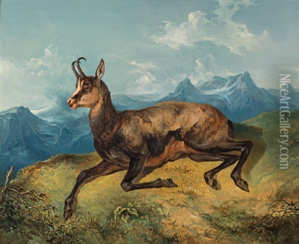 Chamois In Front Of The Backdrop Of Mountains Oil Painting - Friedrich Gauermann