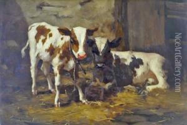 'ayrshire Calves'. Oil Painting - David Gauld