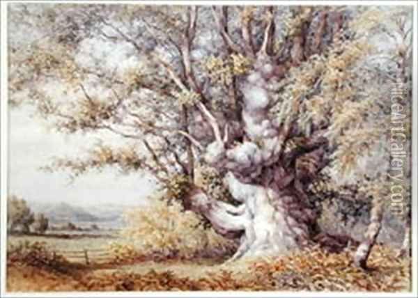 Squirrels in an Ancient Oak Tree Oil Painting - John Skinner Clifton