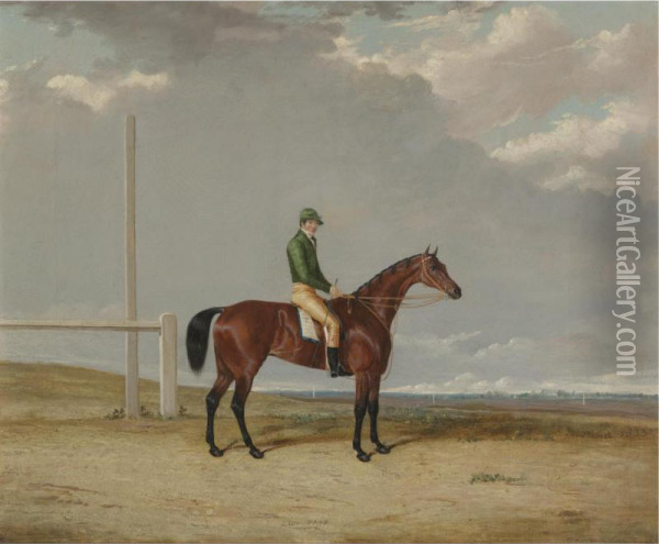 A Bay Racehorse Oil Painting - Thomas W. Bretland