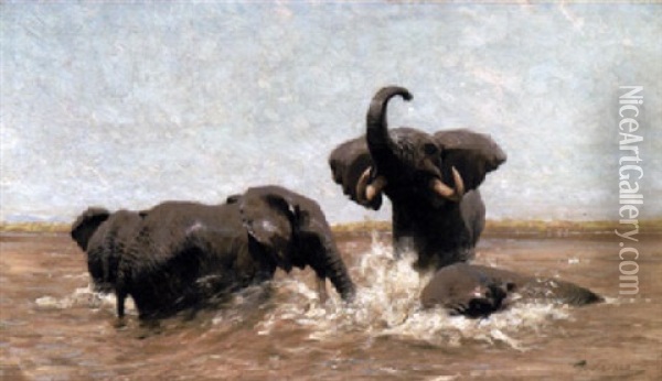 Elefanten Im Bade Oil Painting - Wilhelm Friedrich Kuhnert
