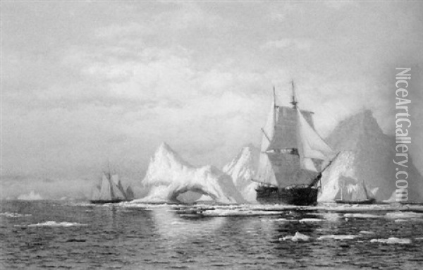 Artic Whaler Homeward Bound Among The Icebergs Oil Painting - William Bradford
