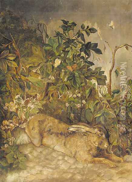 A hare resting by some foliage Oil Painting - English School