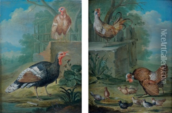 Poule Et Coq Avec Leurs Poussins (in 2 Parts)(+ Couple De Dindons; Pair) Oil Painting - Johann Georg de Hamilton