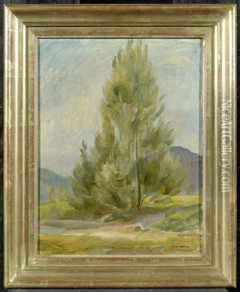 A Tree Study Oil Painting - Robert Amrein