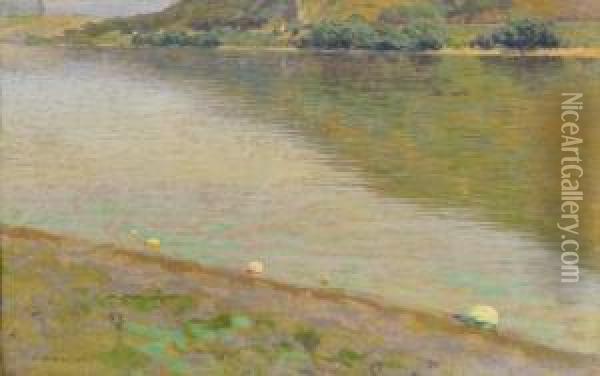 River Danube Oil Painting - Hugo Poll