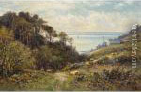 Coastal Ravine With Sheep Grazing Oil Painting - Alfred Augustus Glendening