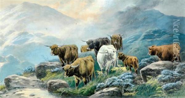 Highland Oil Painting - Thomas, Tom Rowden