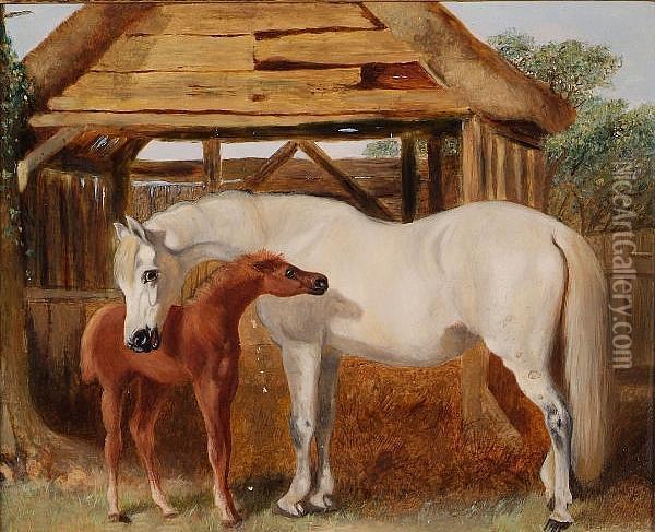 A Grey Mare With A Chestnut Foal Near A Barn Oil Painting - John Frederick Herring Snr