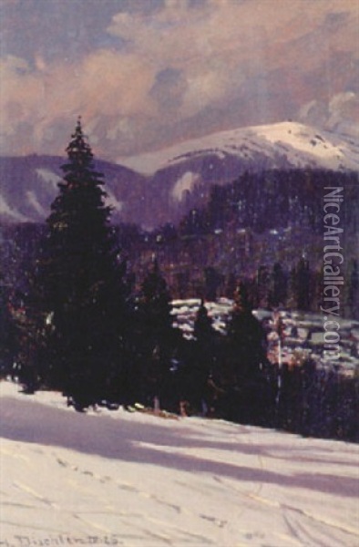 Seebuck - Feldberg, Schwarzwald Oil Painting - Hermann Dischler