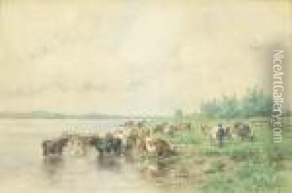 Cattle Grazing By The Riverside Oil Painting - Willem Roelofs